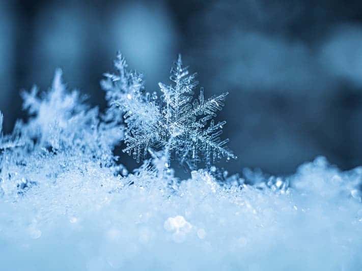 January 22nd – Closed due to Winter Weather