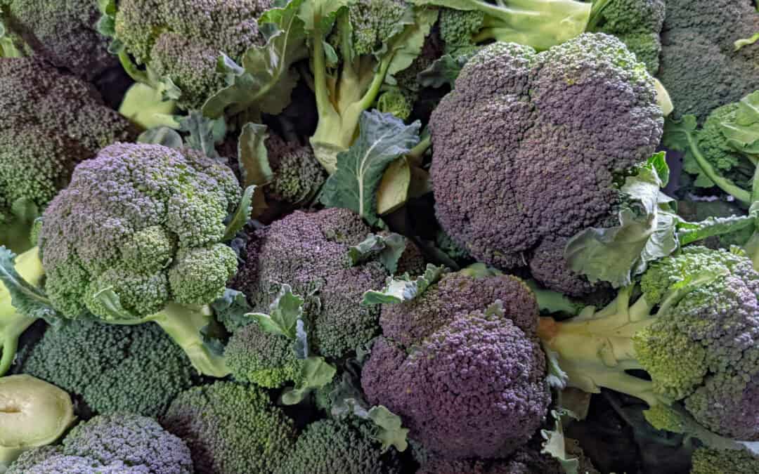 Saturday, November 8th, from 10am to 1pm!