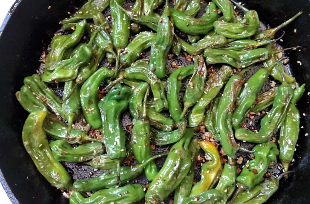 Asian Pan-Fried Shishito Peppers