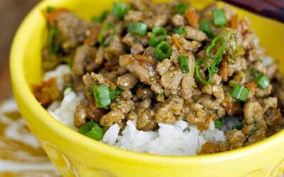 Teriyaki Turkey Rice Bowl