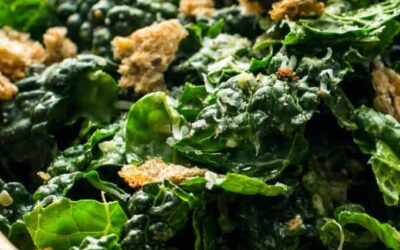 Raw Kale Salad with Garlic-Pecorino Dressing